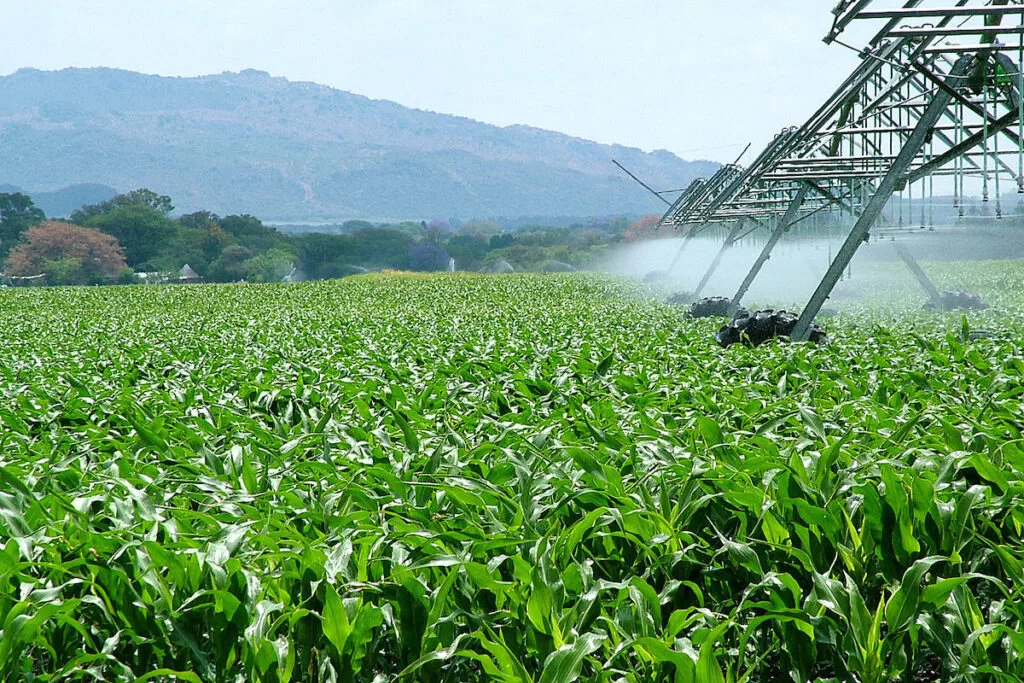 Agroindustria